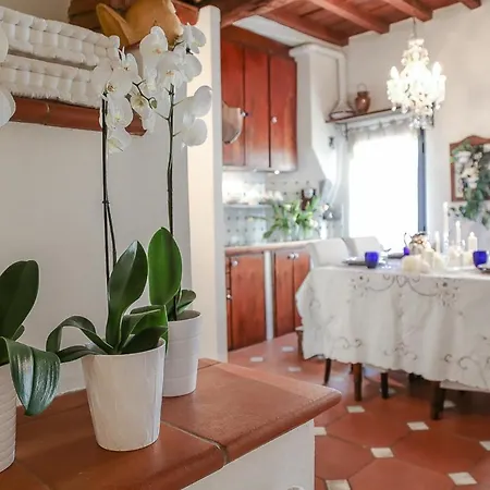 Santa Maria Apartment Florence